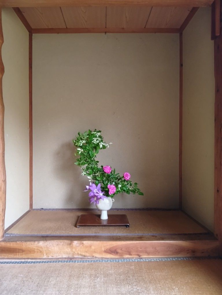 ヤマボウシ・芍薬・クレマチス