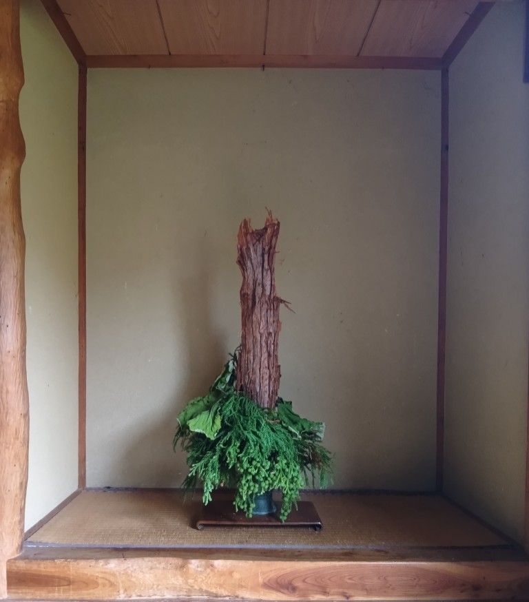 杉・蕗