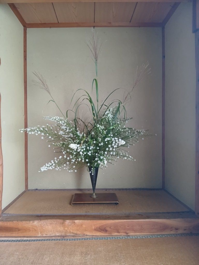 孔雀草・鷹の羽ススキ